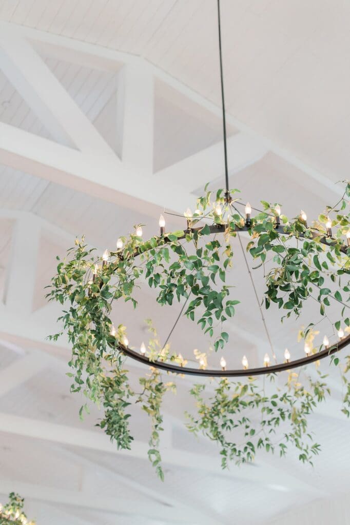 Shot of the view from below of chandeliers at The Farmhouse covered in greenery